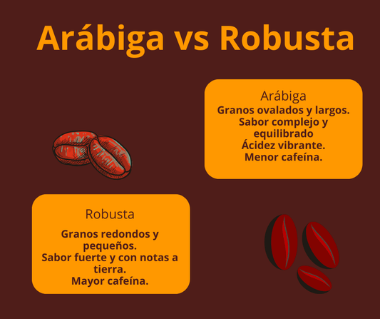 Café Arábica vs. Robusta: ¿Cuál elegir? - Jaguar Coffee Shop