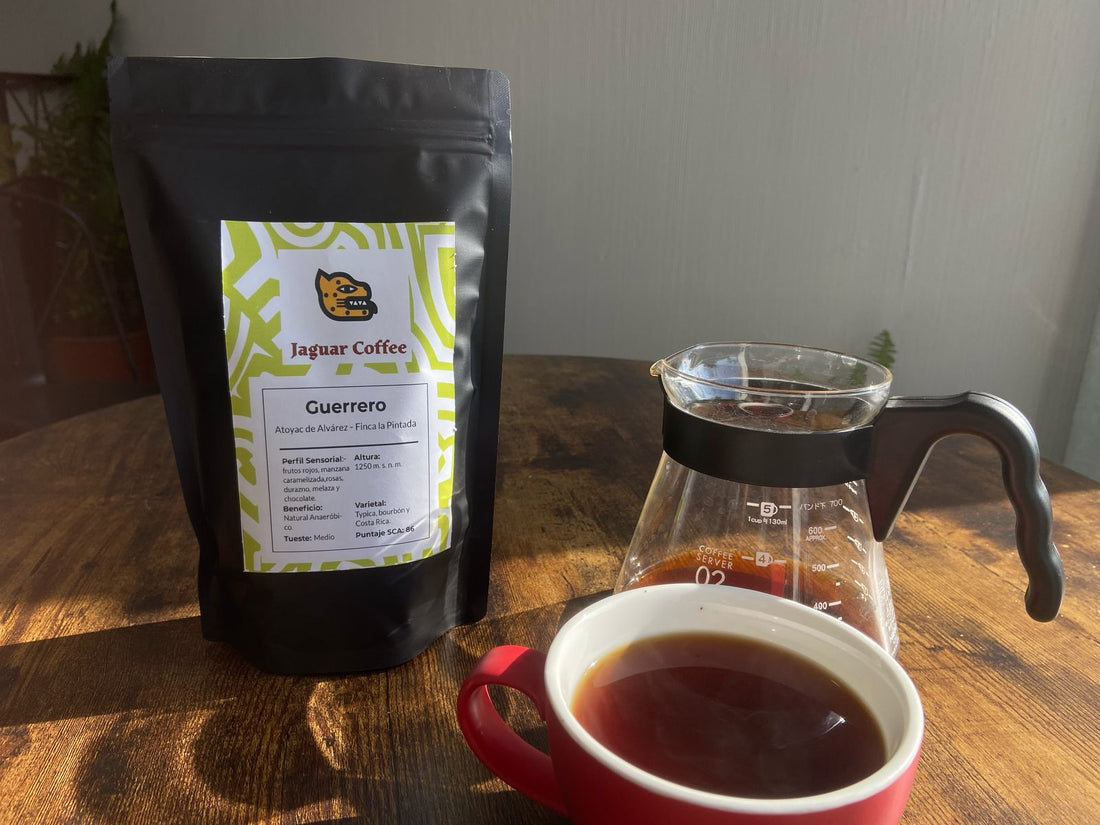 Diferencias entre café comercial y café de especialidad: Todo lo que debes saber - Jaguar Coffee Shop