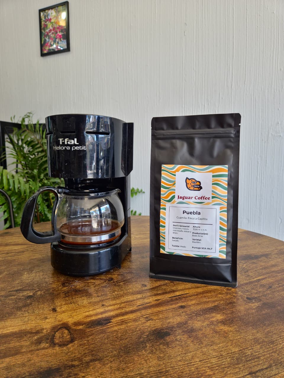 El Secreto Detrás de la Taza Perfecta: ¿Cómo Funciona una Cafetera de Goteo? - Jaguar Coffee Shop