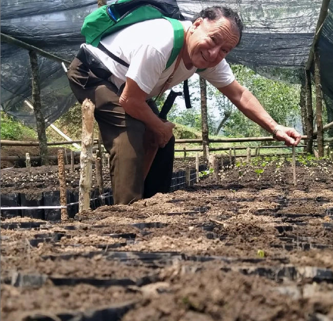 Café de Especialidad Veracruz: Zongolica Lavado - Finca El Estribo