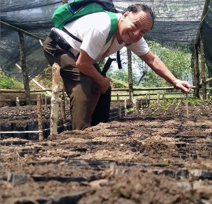 Café de Especialidad Veracruz: Zongolica Lavado - Finca El Estribo