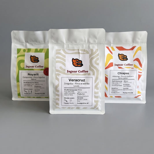 Kit Descubre México | 3 cafés de especialidad