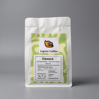 Geisha Natural | Santiago Atitlán, Oaxaca