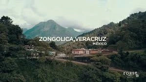 Café Yellow Honey - Finca el Estribo - Zongolica, Veracruz